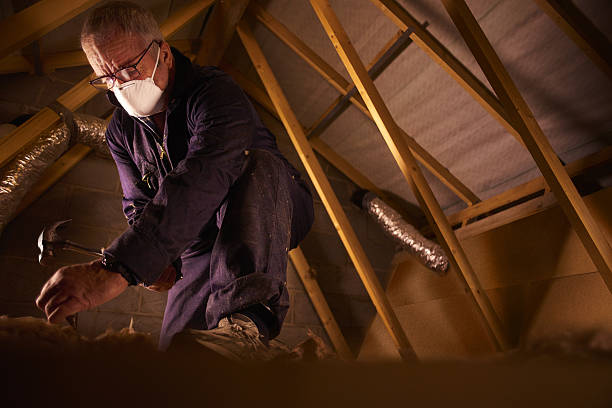 Best Geographic-Specific Insulation Services in Marana, AZ